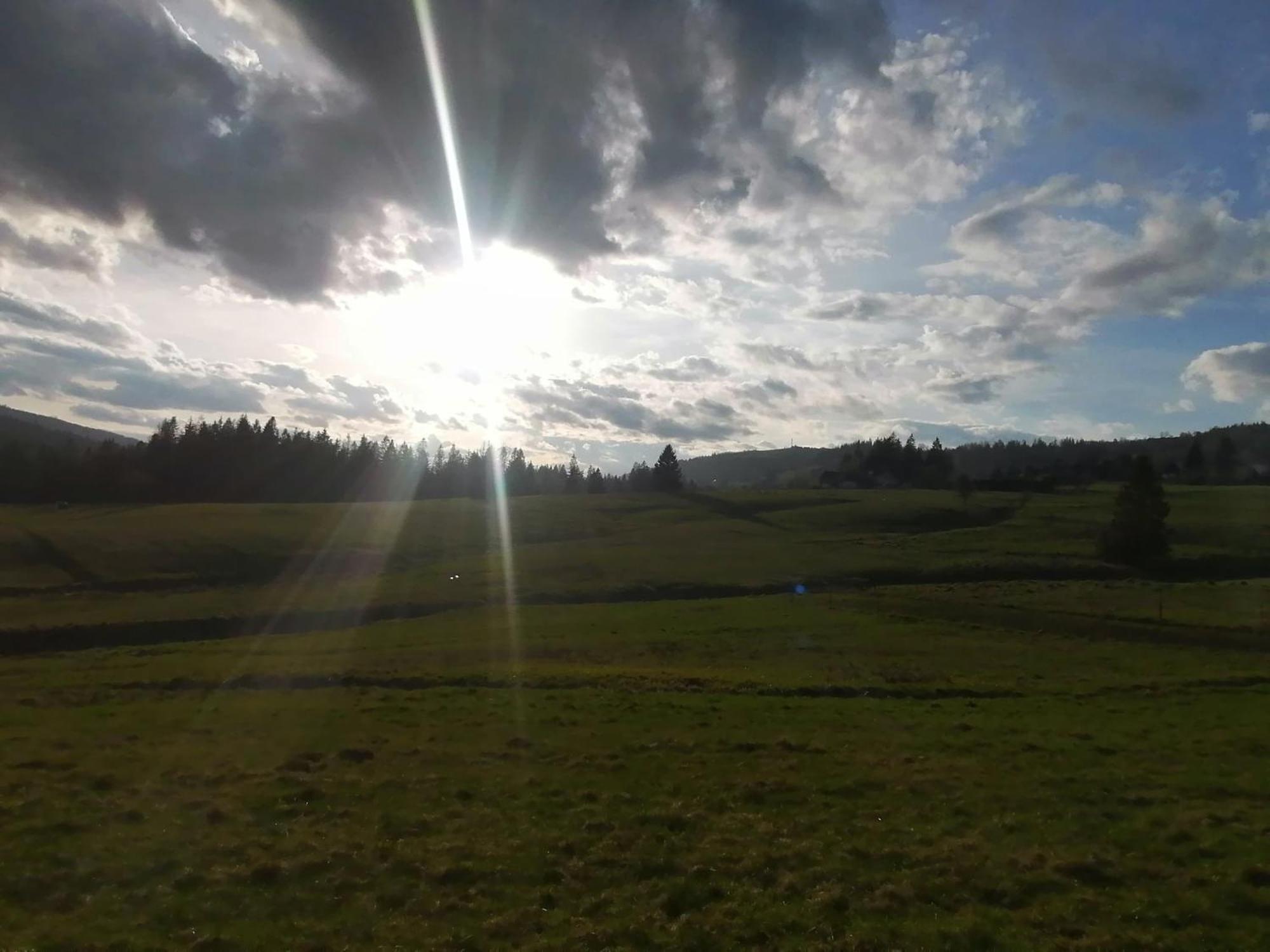 Olberowka Laliki