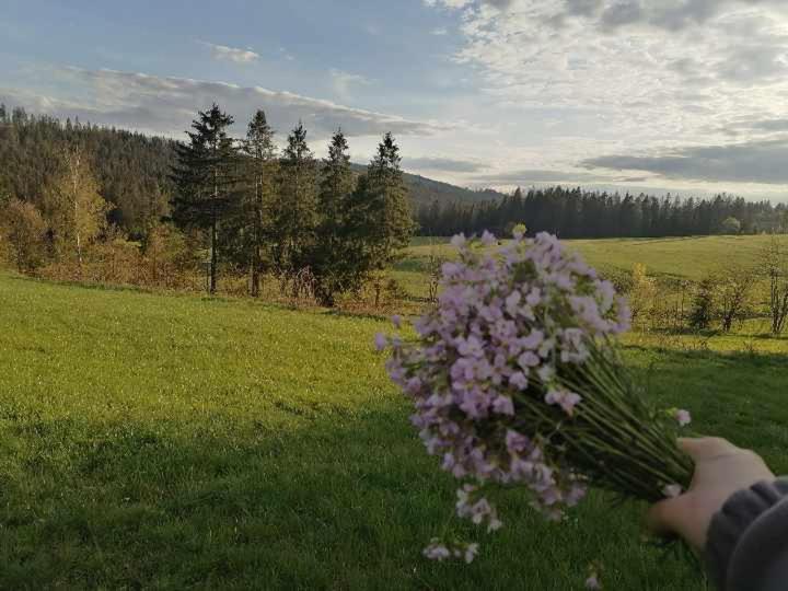 Apartmán Olberowka *