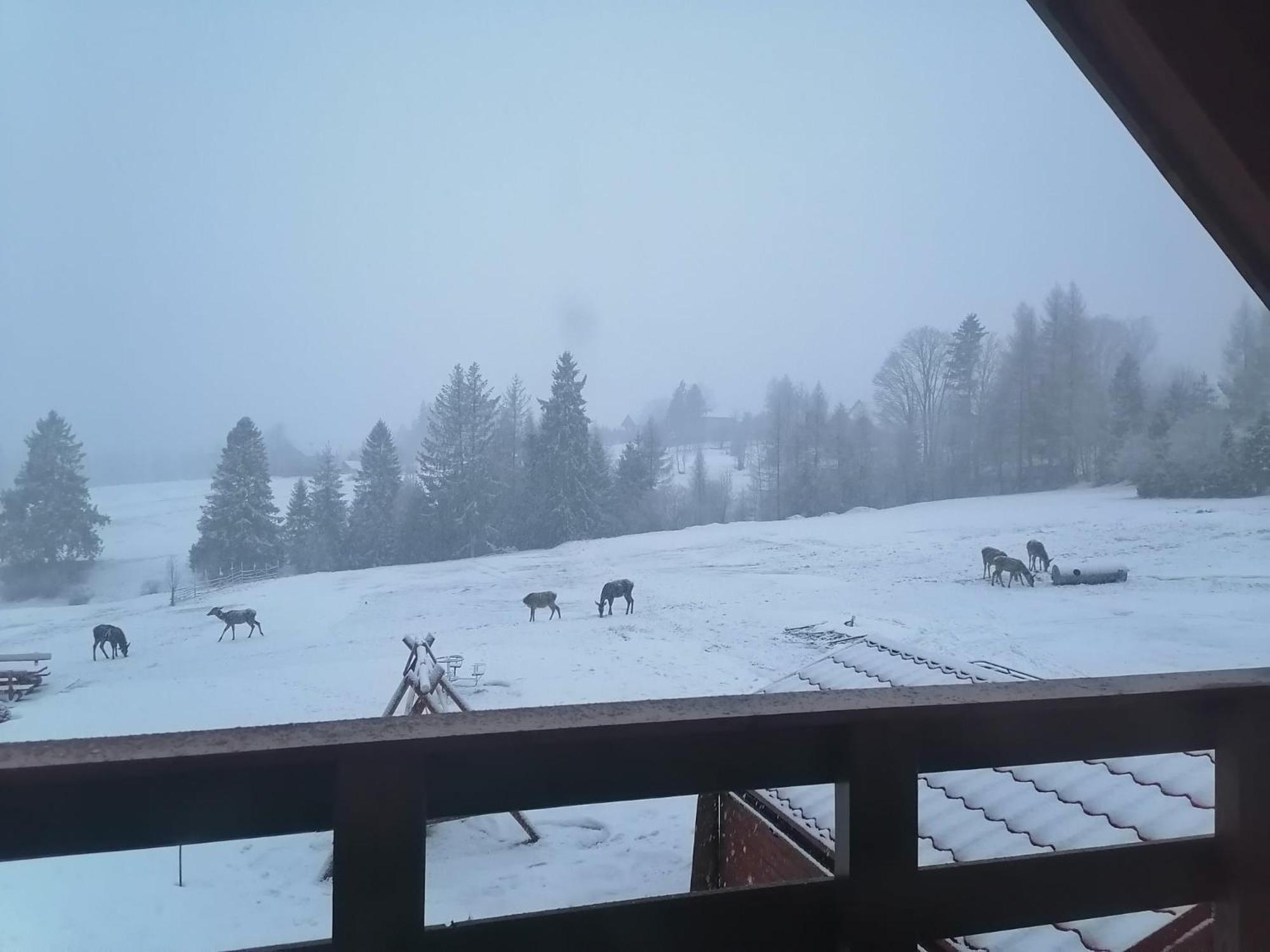 Olberowka Apartmán *