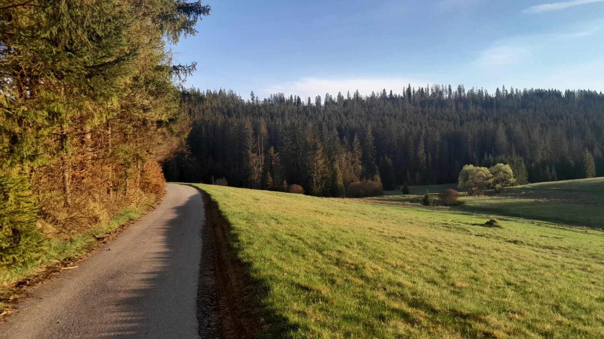 Olberowka