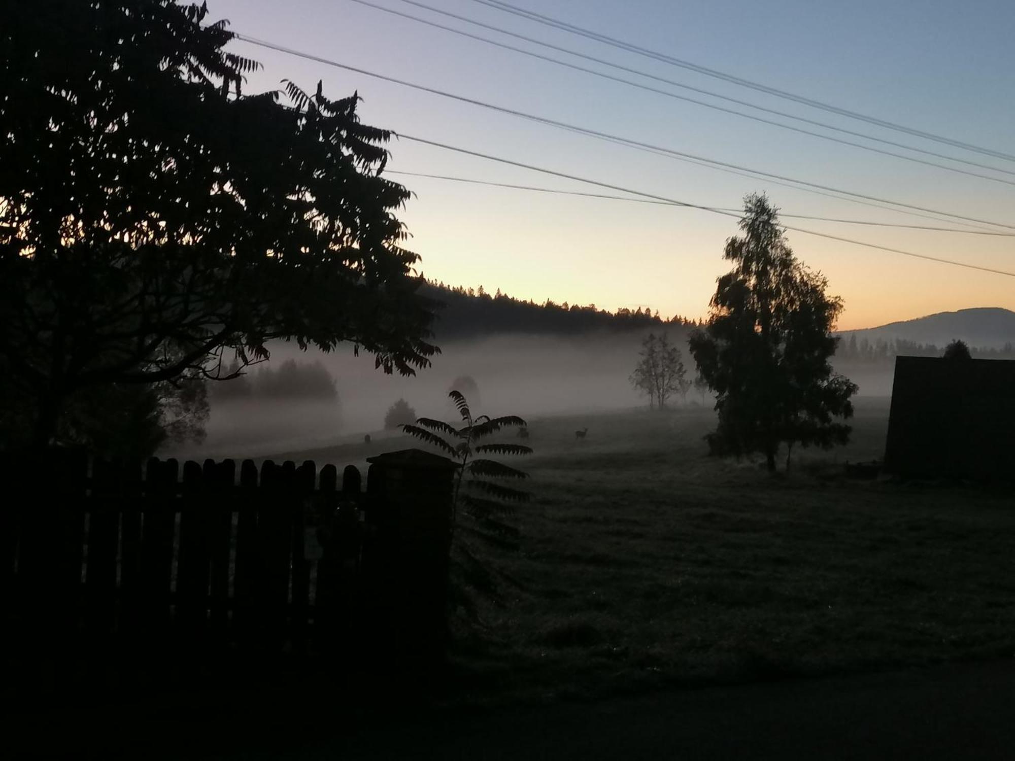 Olberowka * Laliki