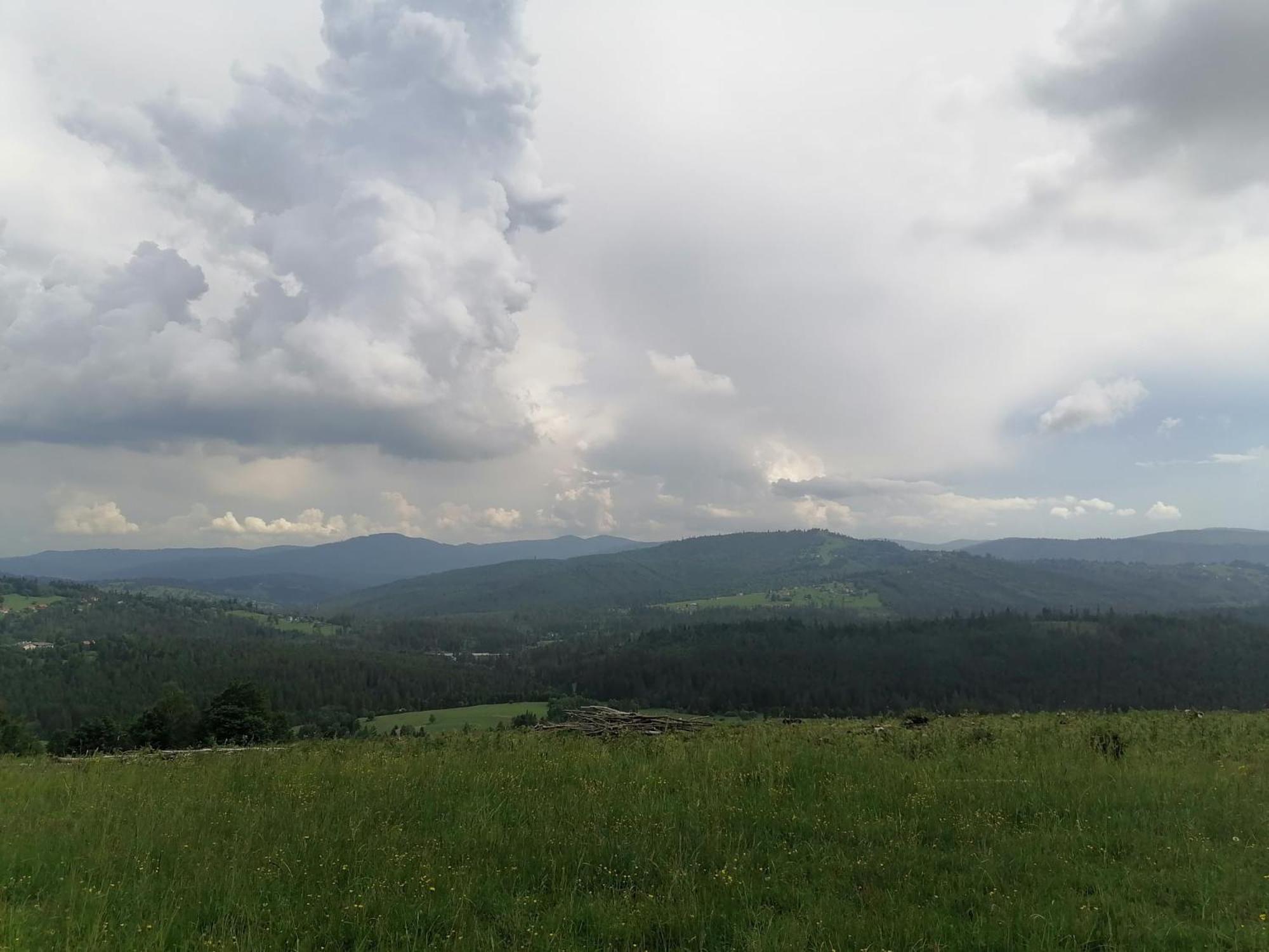 Olberowka Laliki