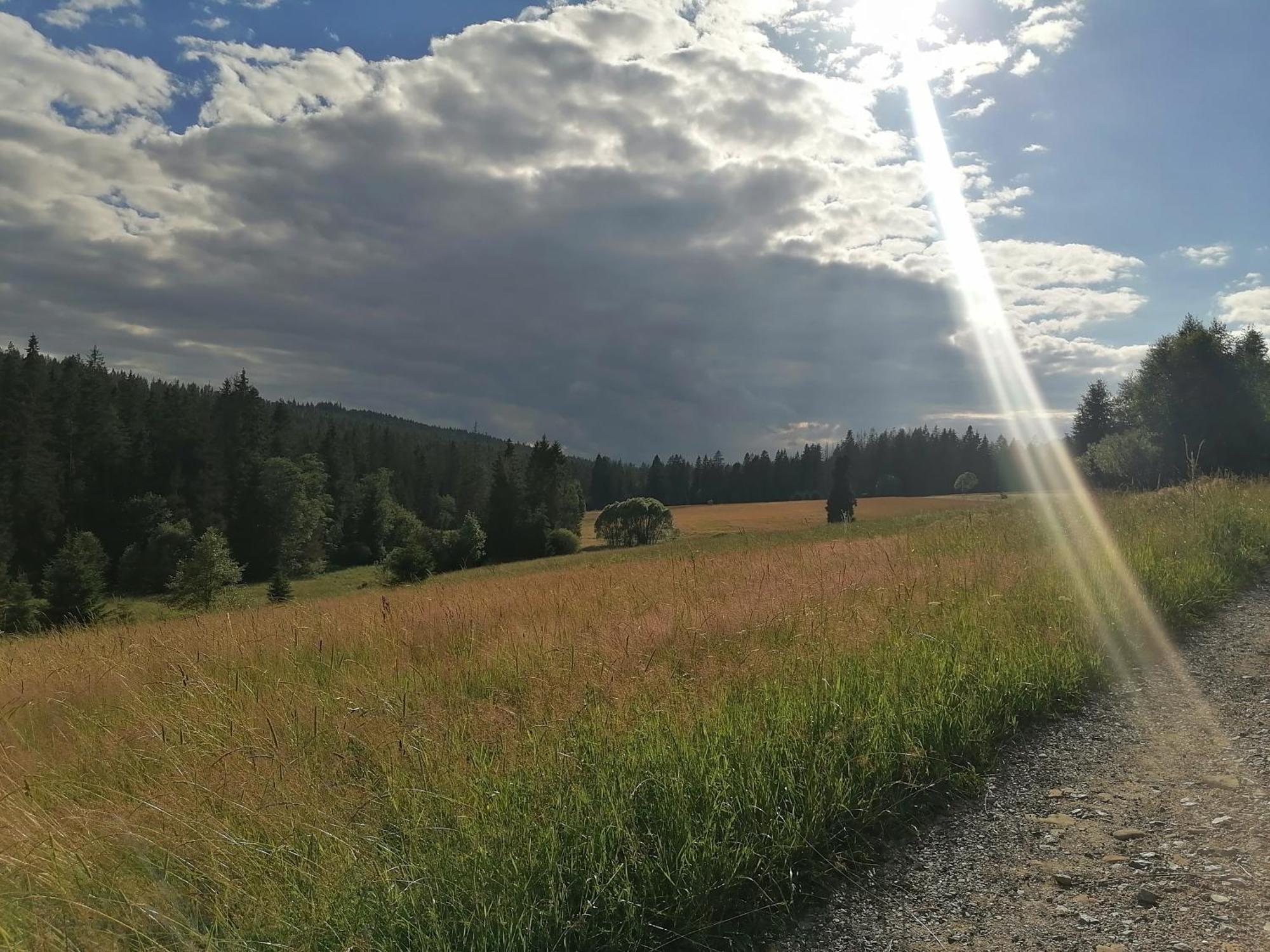 Olberowka Apartmán Laliki
