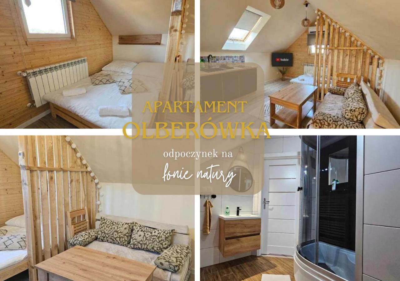 Apartmán Olberowka Laliki